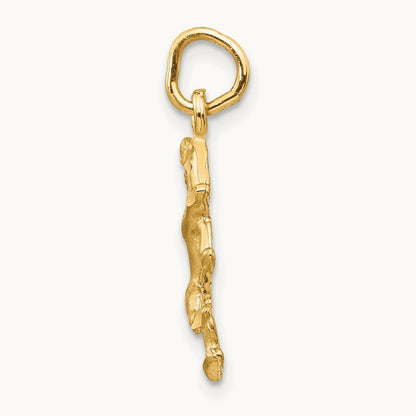 Satin Diamond-cut Leo Zodiac Charm — photo set