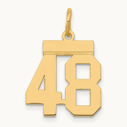 Small Polished Number 48 Charm, 14K