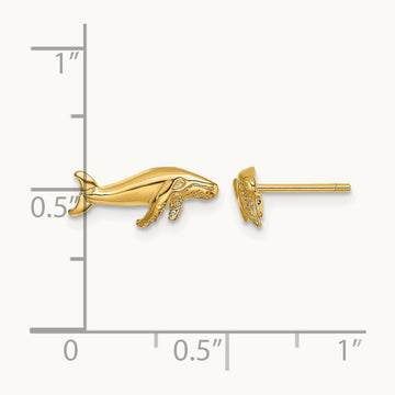 Whale Post Earrings, 14K