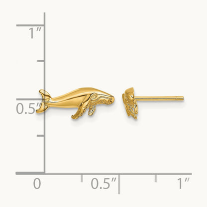 Whale Post Earrings, 14K