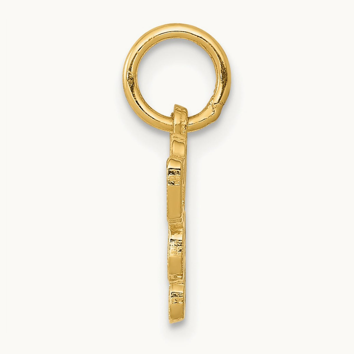 Saint Bernard Charm, 14K