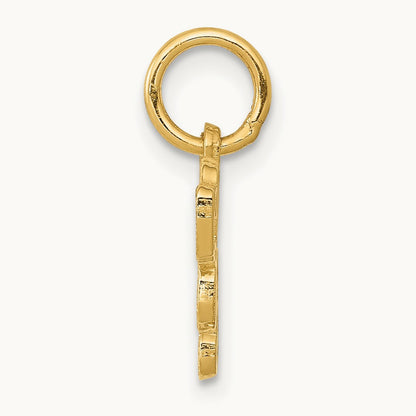 Saint Bernard Charm, 14K