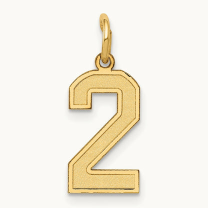 Small Satin Number 2 Charm — 14K Yellow Gold