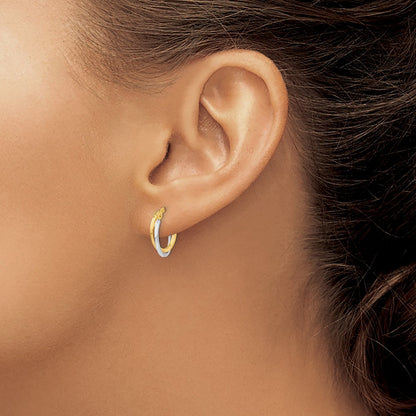 Polished Hollow Hoop Earrings — photo set