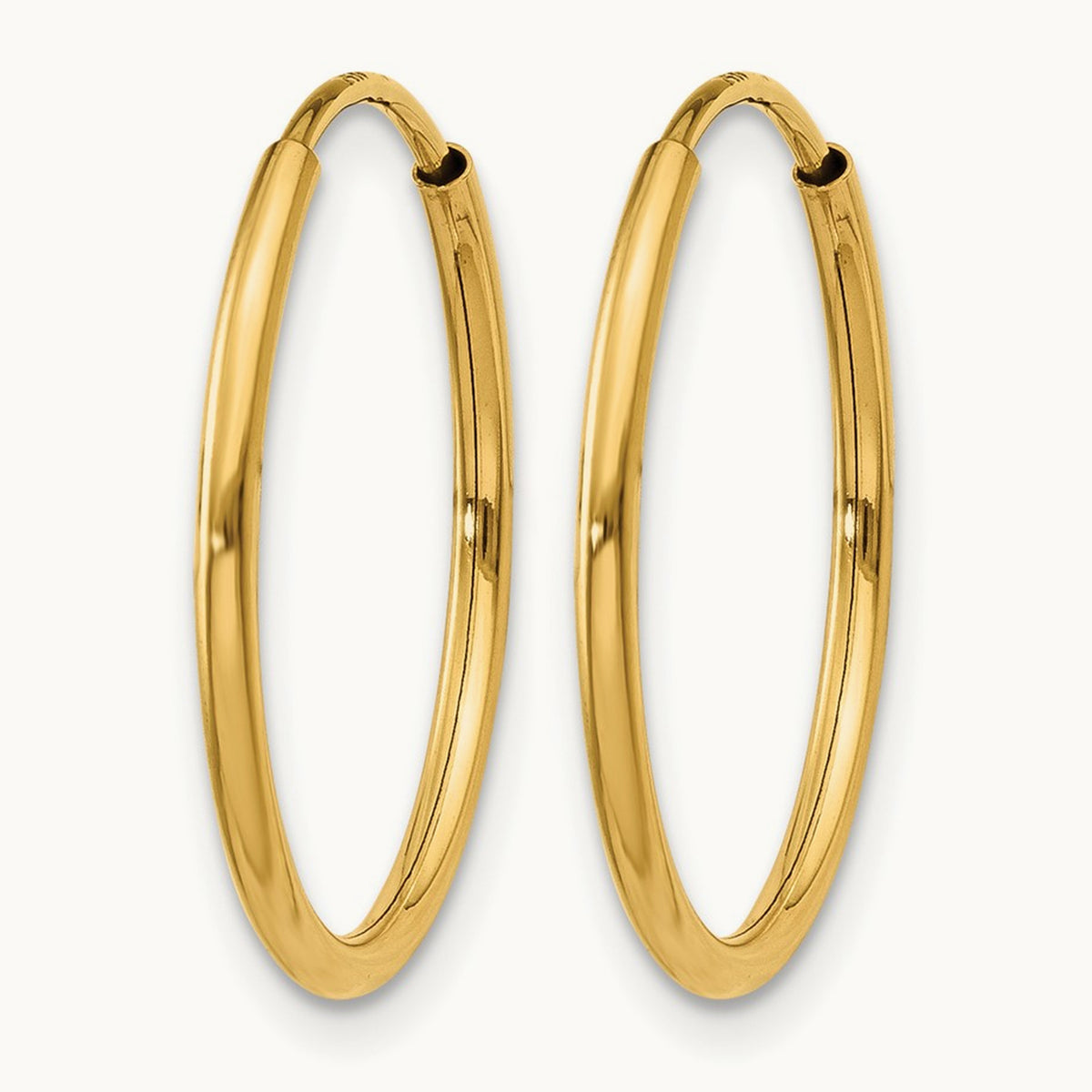 Endless Hoop Earring, 14K — Leslie's
