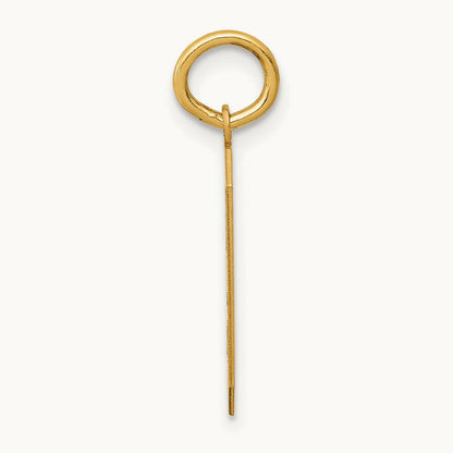 Medium Satin Number 9 Charm — 14K Yellow Gold