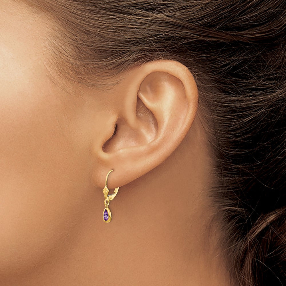 Amethyst/February Earrings — photo set