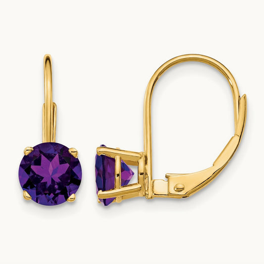 Amethyst Leverback Earrings — 14K Yellow Gold, 18mm