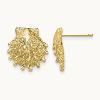 Lion's Paw Shell Post Earrings — 13.9mm