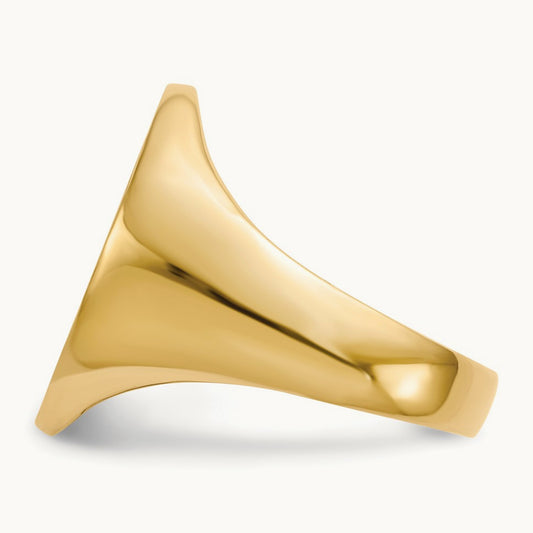 16.0x20. Closed Back Mens Signet Ring, 5mm, 14K