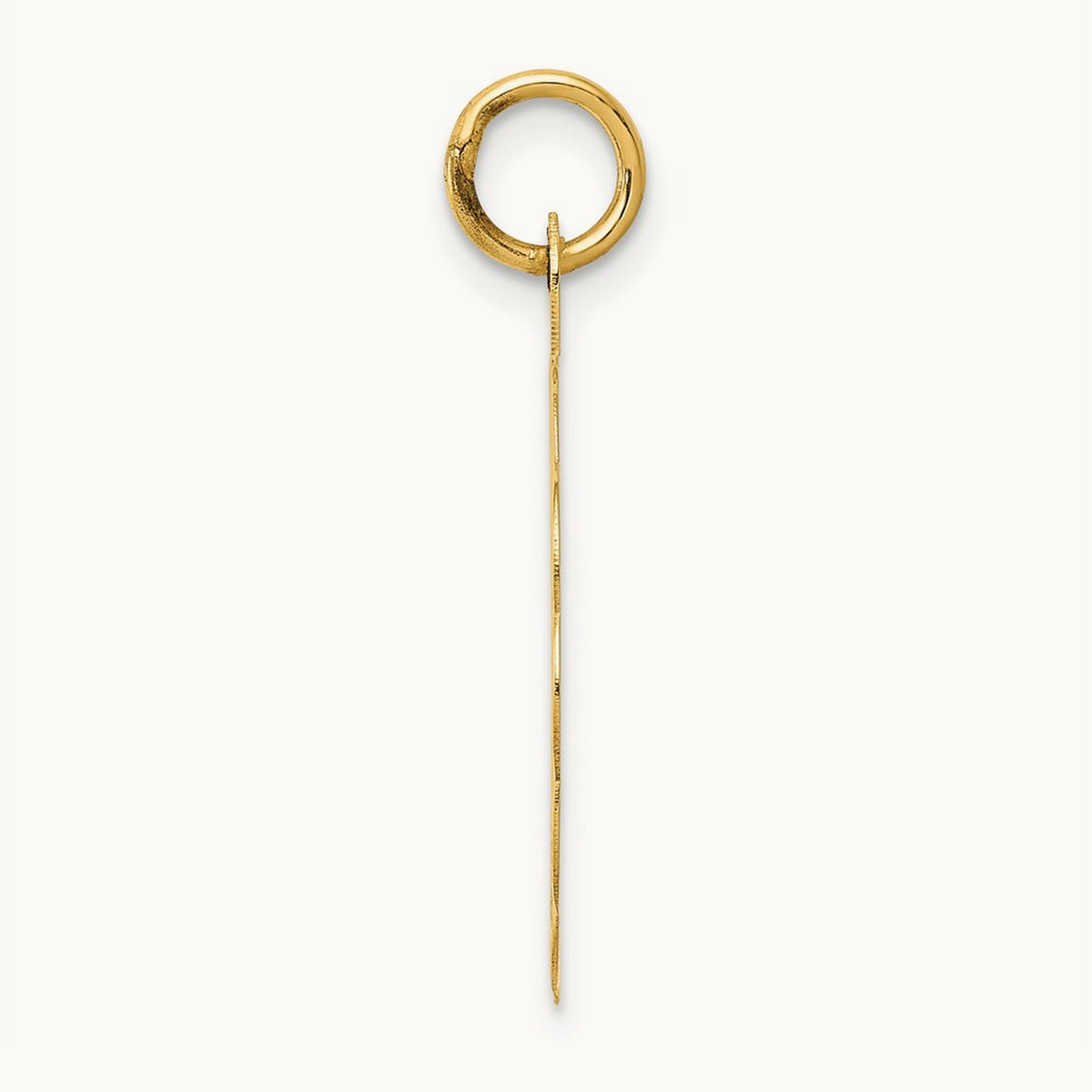 25th ANNIVERSARY Disc Charm, 14K