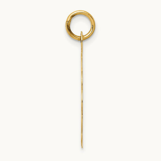 25th ANNIVERSARY Disc Charm, 14K