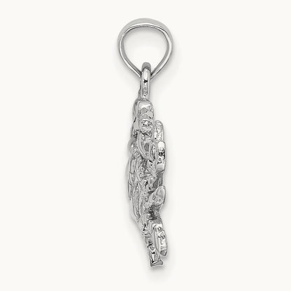 Blue Crab Charm — photo set