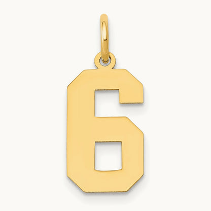 Medium Polished Number 6 Charm — 14K Yellow Gold, 16.13mm