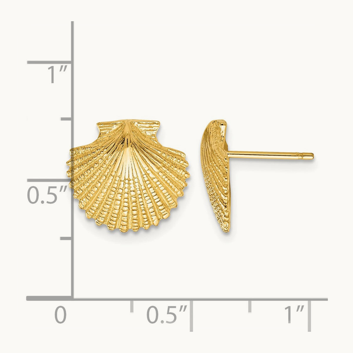 Scallop Shell Post Earrings, 14K
