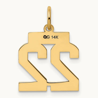 Small Polished Number 22 Charm, 14K