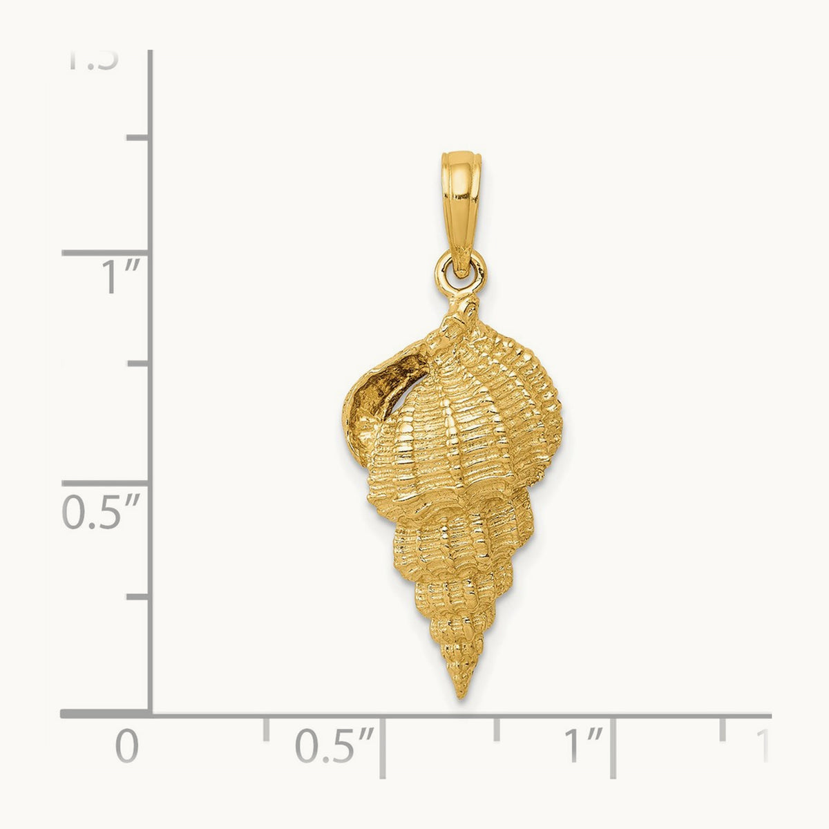 Conch Shell Pendant — photo set