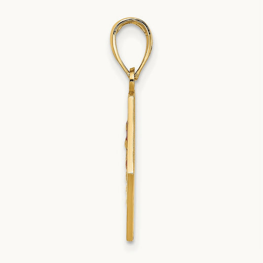 Enameled Textured Back Caduceus Medical Disc — 14K Yellow Gold