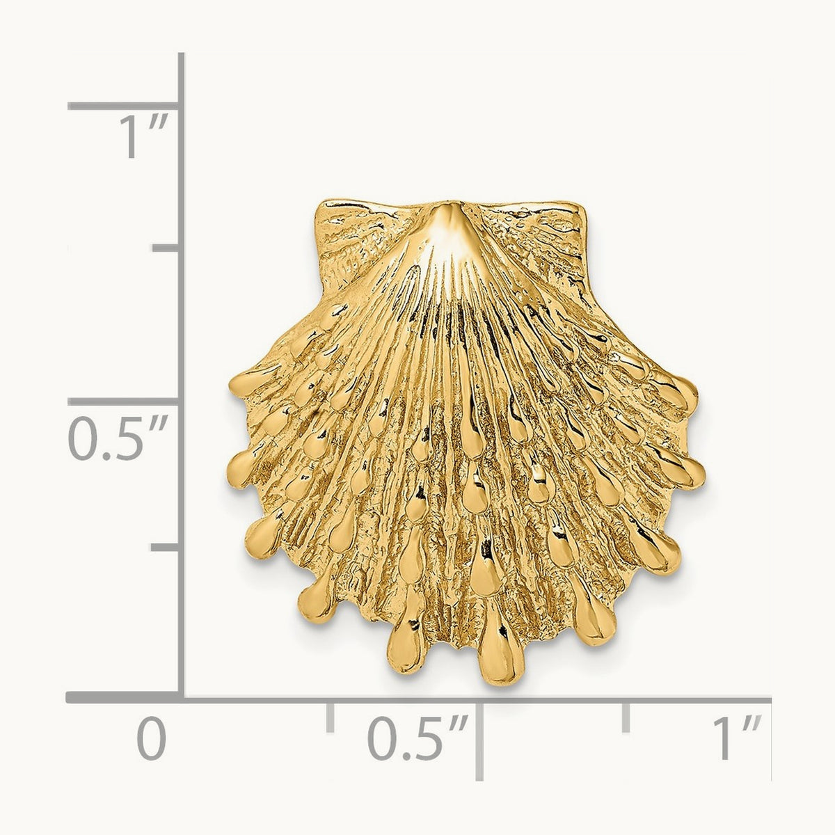 Small Lion's Paw Shell Slide, 14K