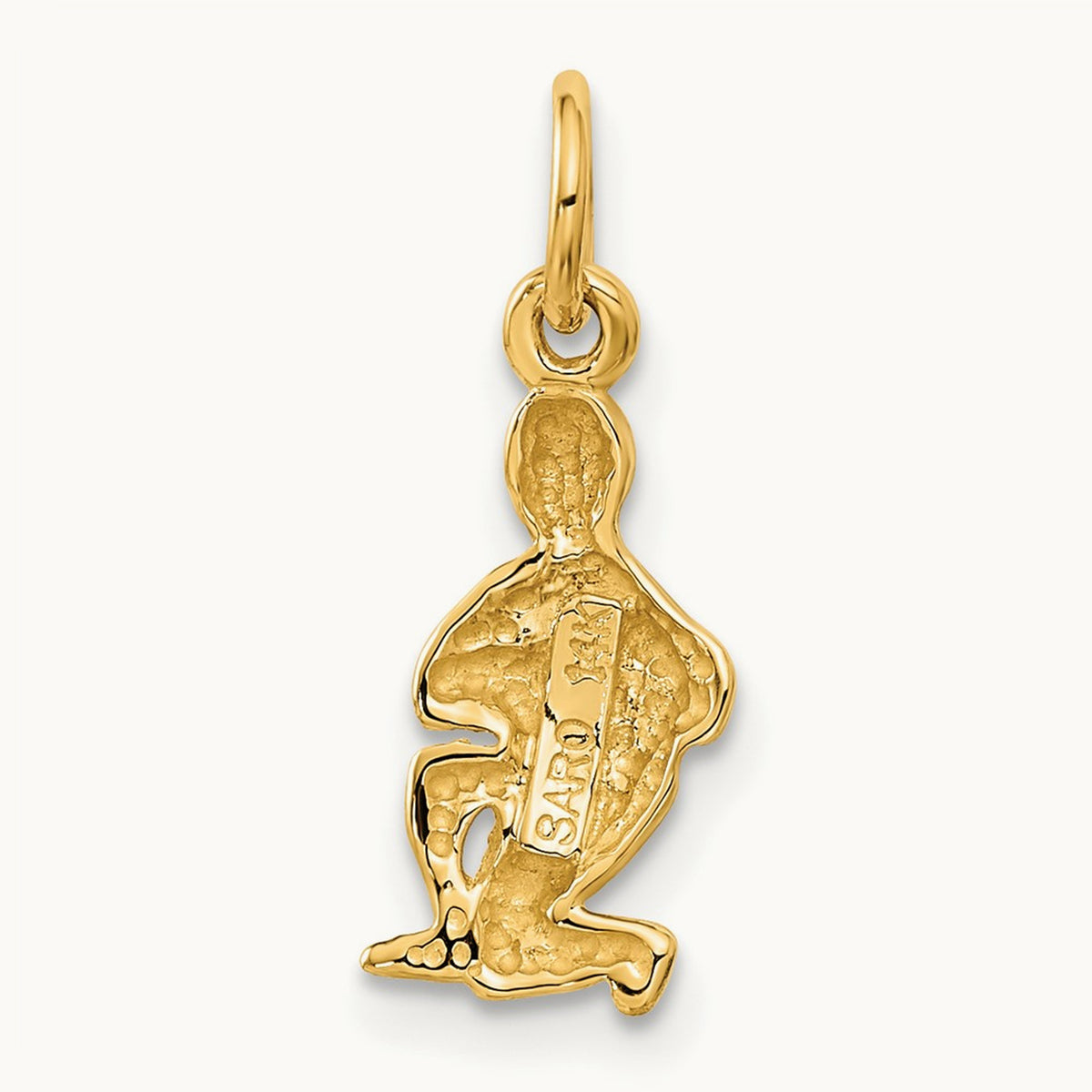 Satin Diamond-cut Aquarius Zodiac Charm — 20mm