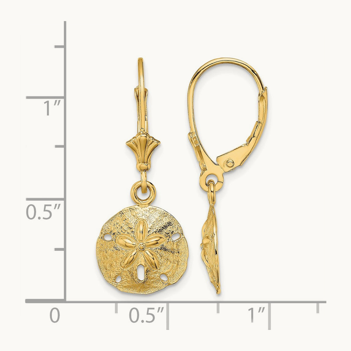 Polished Sand Dollar Leverback Earrings — 14K Yellow Gold
