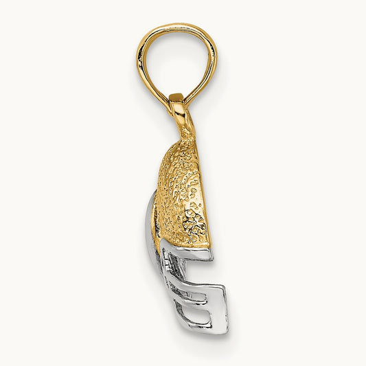 w/ Football Helmet Charm — photo set
