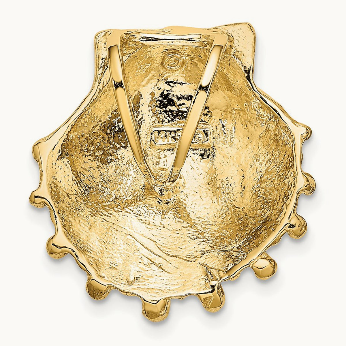 Small Lion's Paw Shell Slide, 14K