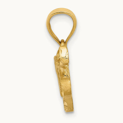 Satin Diamond-cut Acoustic Guitar Pendant, 14K