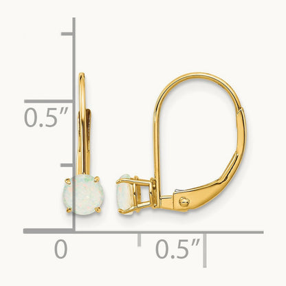 Round October/Opal Leverback Earrings — 14K Yellow Gold