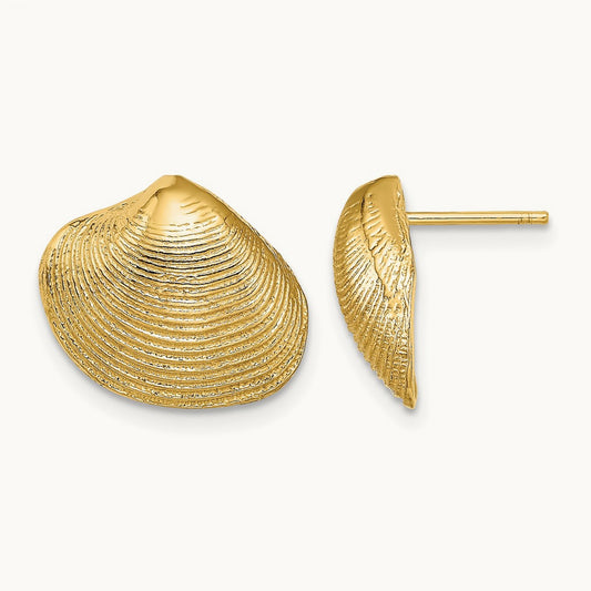 Clam Shell Post Earrings — 14K Yellow Gold, 12.65mm