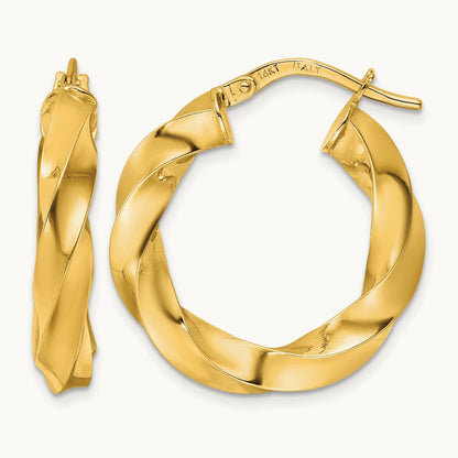 Polished Twisted Hoop Earrings — photo set
