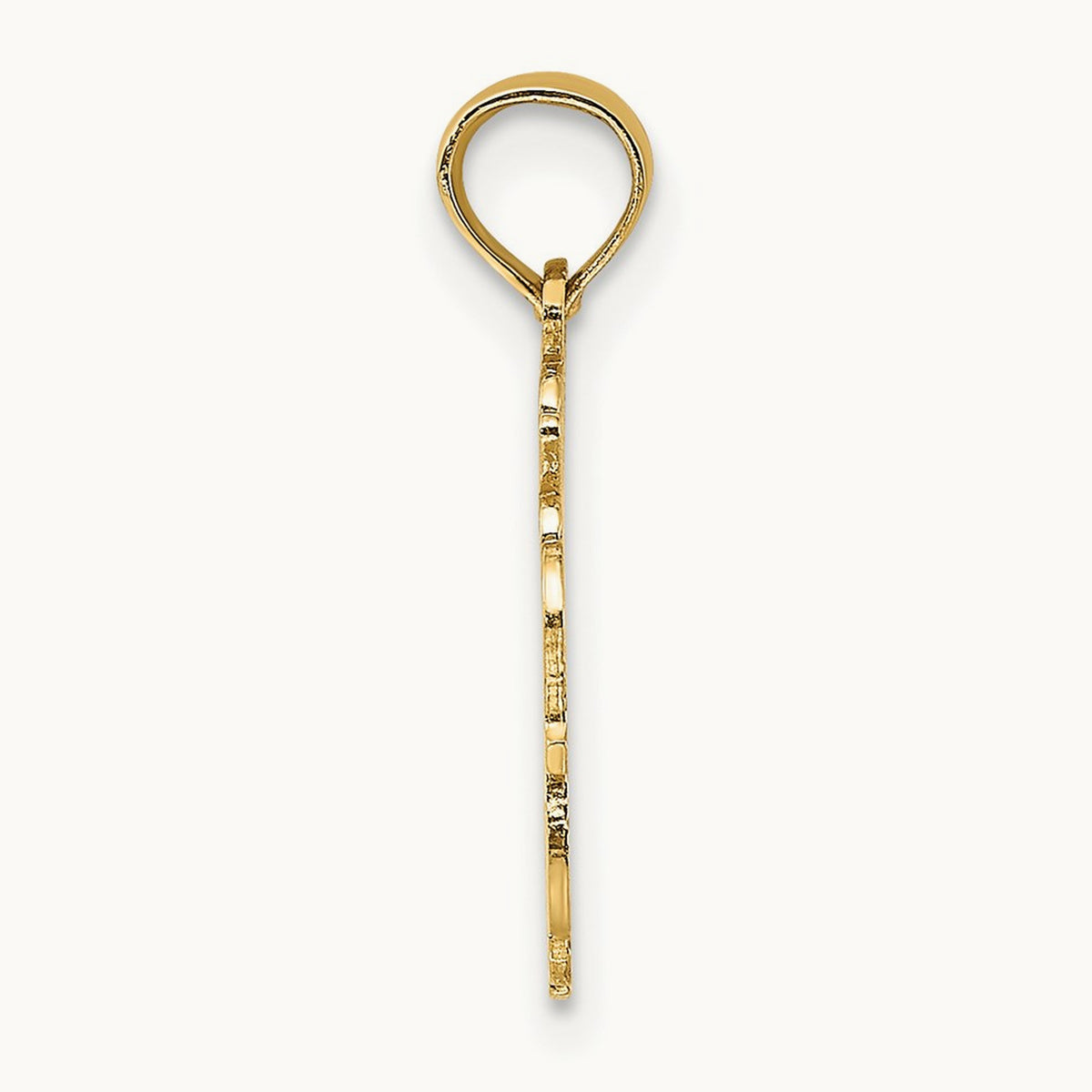 100% AQUARIUS Zodiac Charm — 14K Yellow Gold