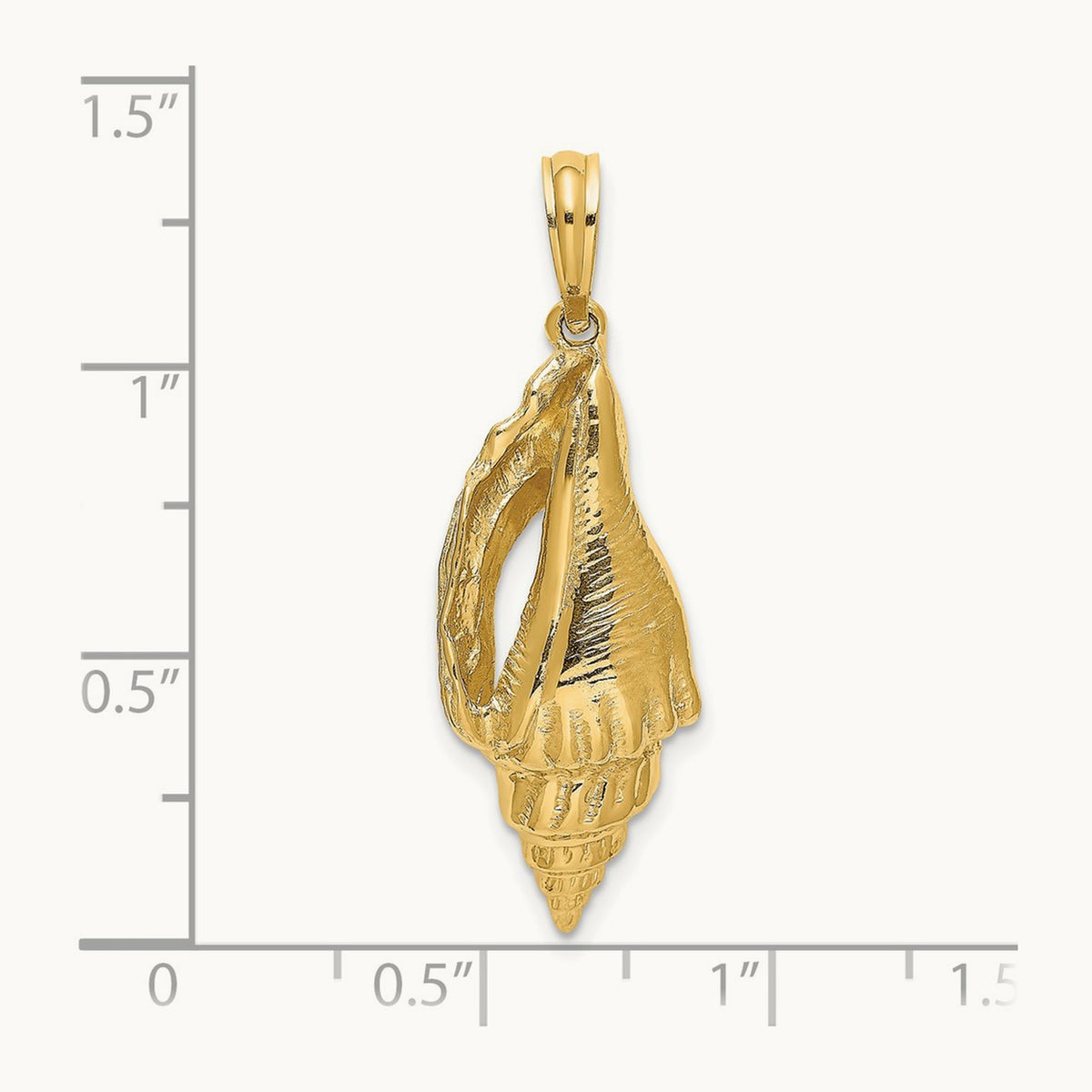 Polished Elongated Shell Charm, 14K