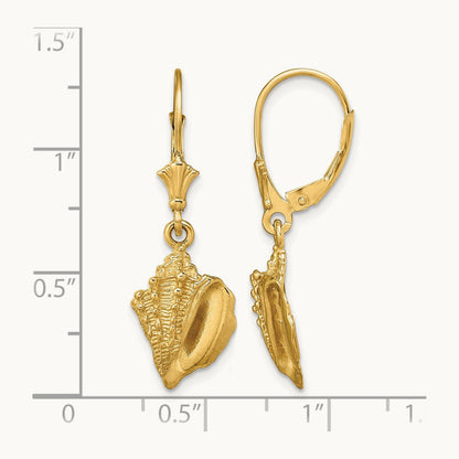 Conch Shell Leverback Earrings, 14K