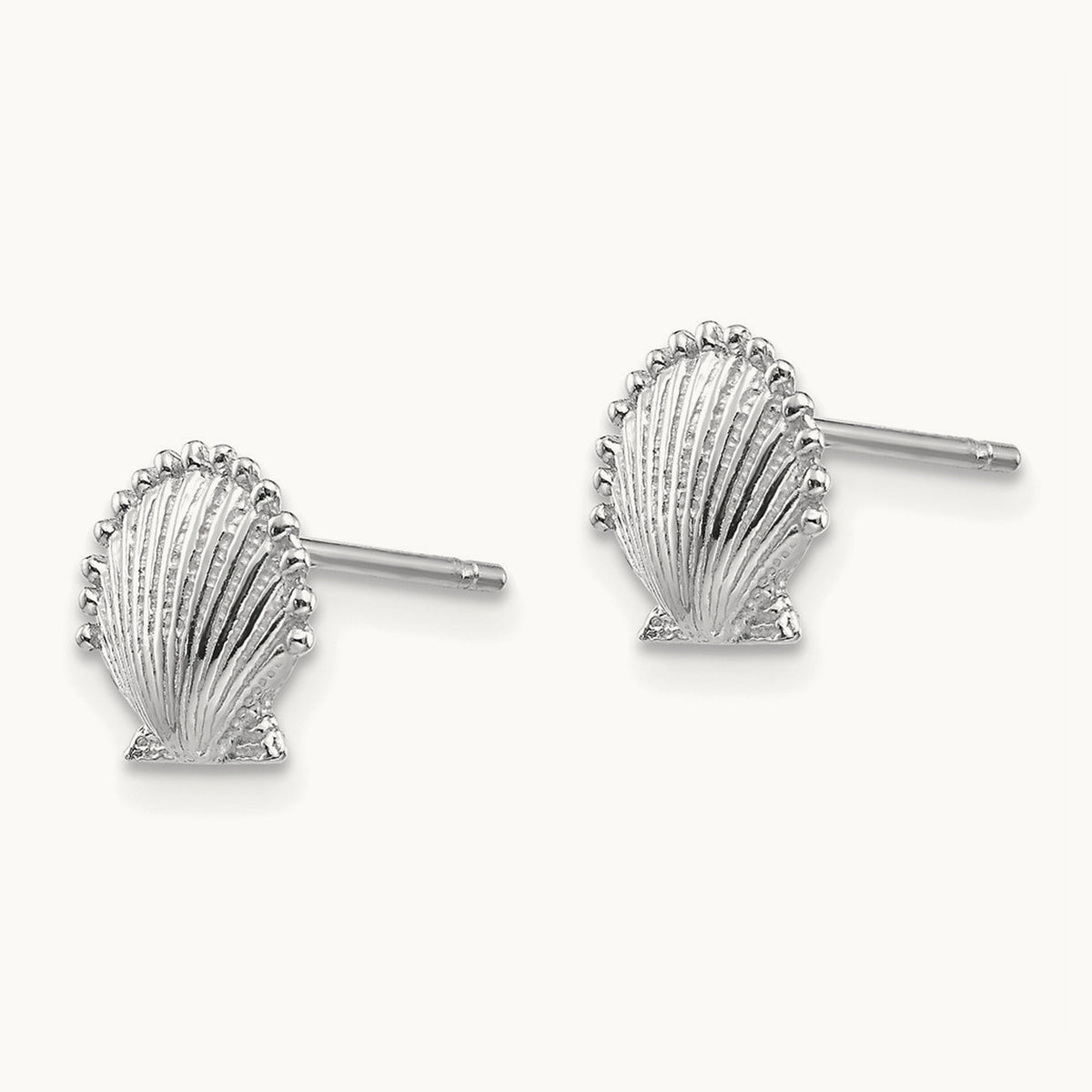 Scallop Shell Post Earrings — 14K White Gold, 8.02mm