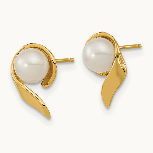 5- White Button Freshwater Cultured Pearl Post Earrings, 6mm, 14K