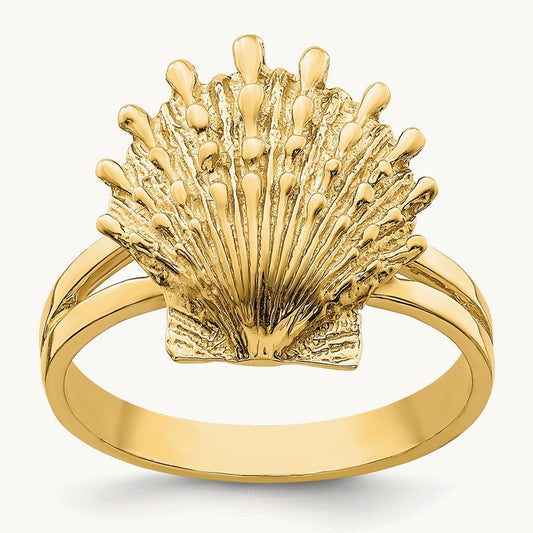Lion's Paw Shell Ring, 14K