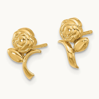 Polished Post Earrings — photo set
