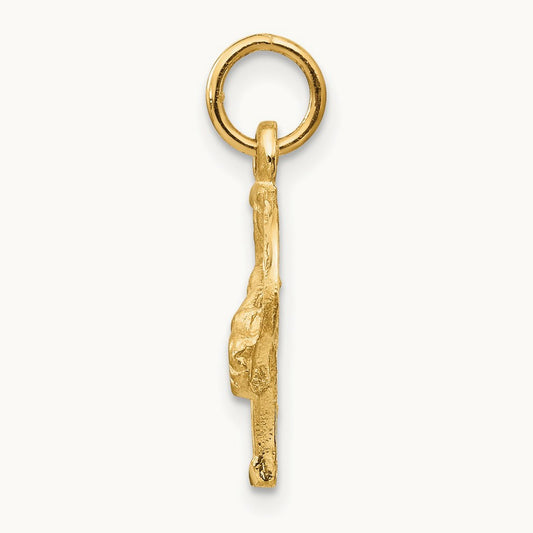 Diamond-cut Horse Head in Horseshoe Charm — 14K Yellow Gold