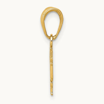 LPN Symbol Pendant, 14K
