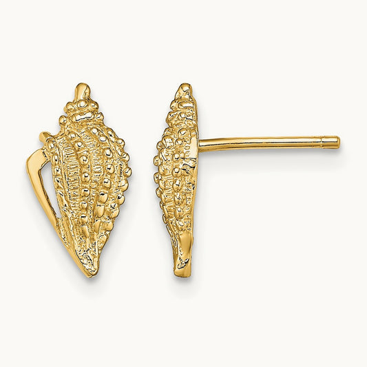 Mini Conch Shell Post Earrings, 14K