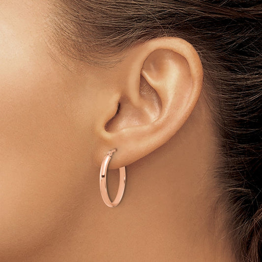 Oval Hoop Earrings — photo set