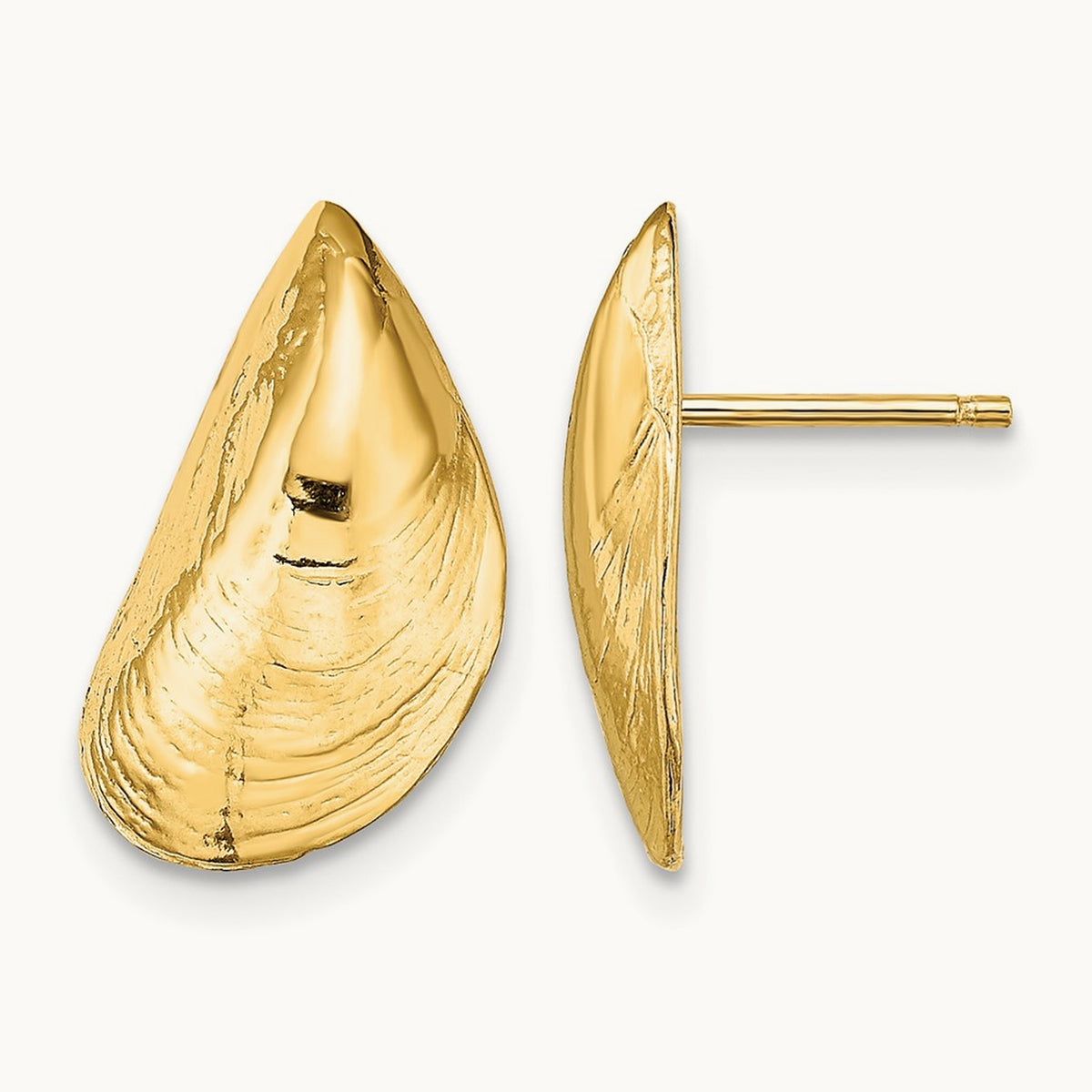 Mussel Shell Post Earrings, 14K