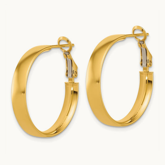 Polished Hoop Earrings — photo set