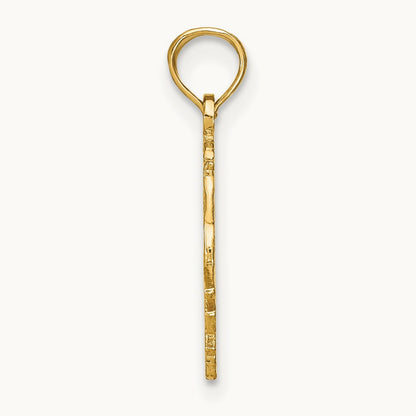 CAPRICORN Zodiac Charm — 14K Yellow Gold