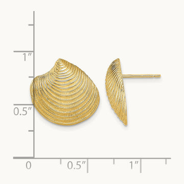 2-D Textured and Polished Clam Shell Post Earrings, 14K