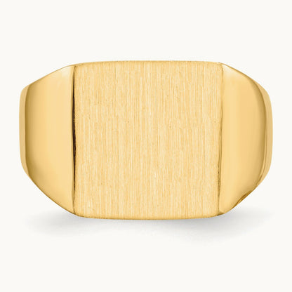 Open Back Mens Signet Ring — photo set
