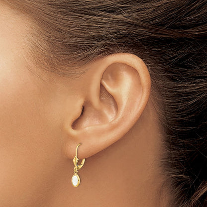 6x4 Oval Bezel October/Opal Leverback Earrings — 14K Yellow Gold