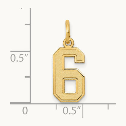 Small Satin Number 6 Charm — 14K Yellow Gold