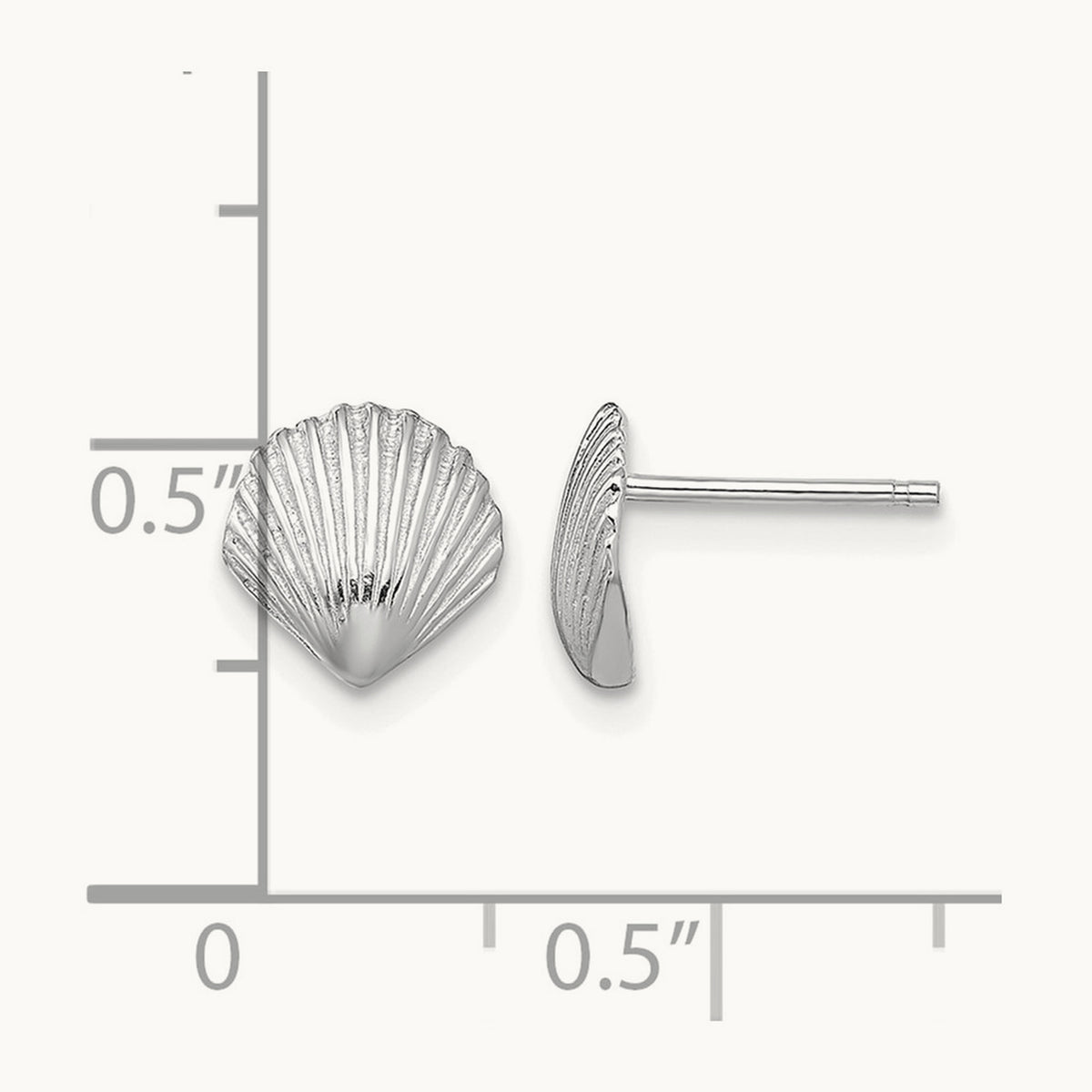 Scallop Shell Post Earrings — 14K White Gold, 7.8mm